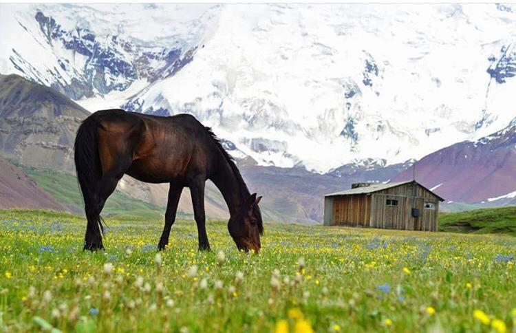 Hotel Pamir Nomad Yurt Camp Kara-Kavak Zewnętrze zdjęcie